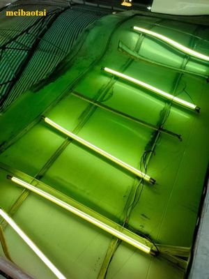 سعر جيد صفحة لون المرآة الخضراء Pvd طلاء الزخرفة صفيحة الفولاذ المقاوم للصدأ الانترنت