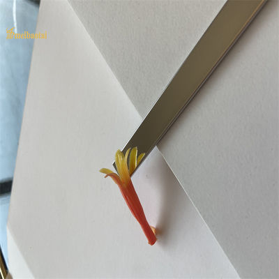 سعر جيد 304 الزخرفية بلاط الفولاذ المقاوم للصدأ تقليم 3048MM لون مرآة الانتهاء الانترنت